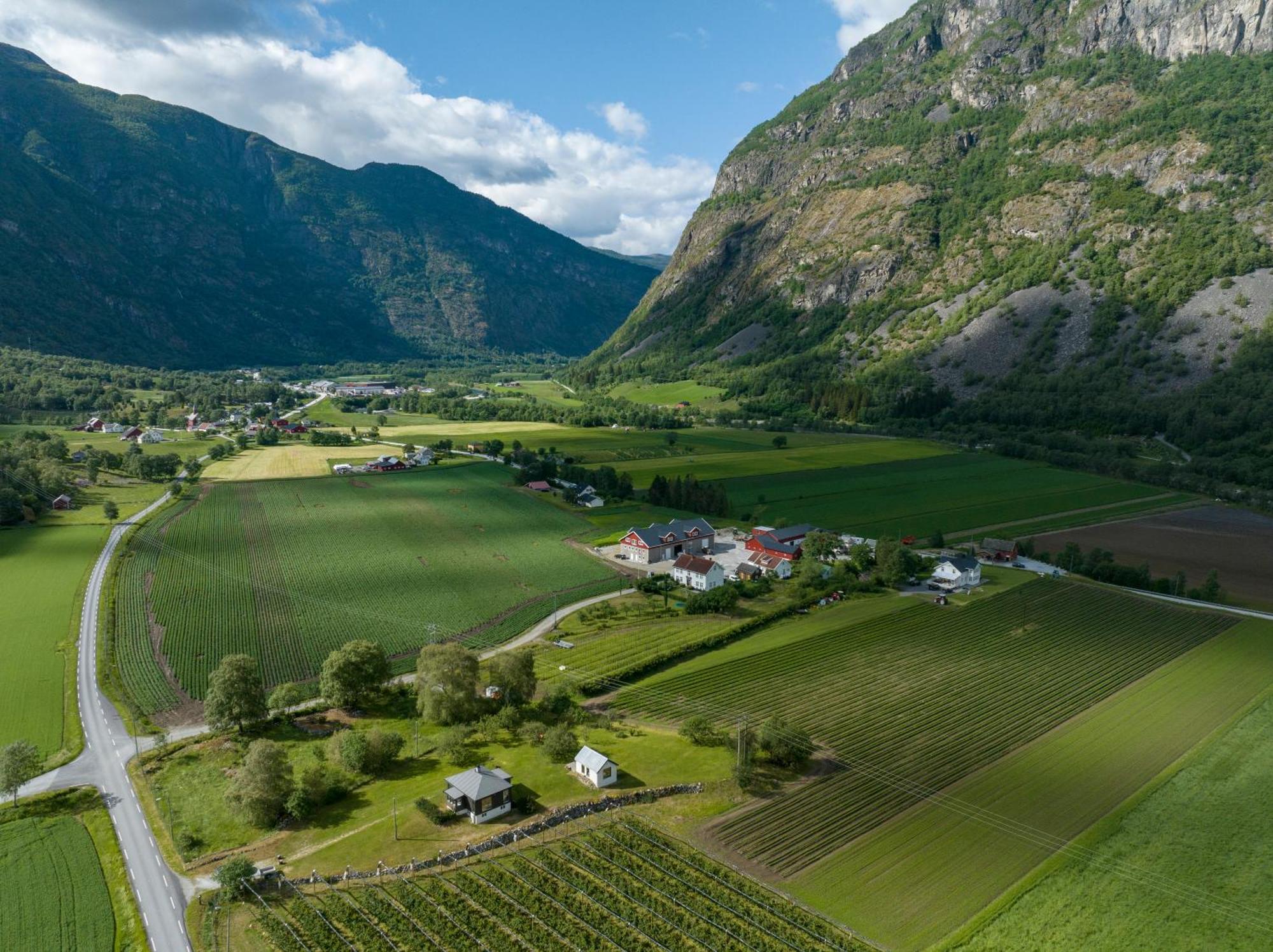 Jordeplegarden Holiday Home - Part Of A Farm - Two Buildings - Close To Flam Лердалсёйри Экстерьер фото
